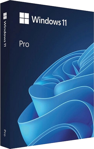 Windows 11 Pro